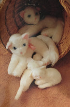 Load image into Gallery viewer, Making Nursery Rhyme Toys by Enid Anderson