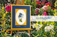 Load image into Gallery viewer, Inspirations Magazine Issue 61