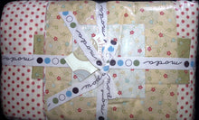 Load image into Gallery viewer, Whimsy Pre-Cut Quilt Kit by Fig Tree Quilts