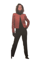 Load image into Gallery viewer, 1988 Vintage Sewing Pattern: Simplicity 8798