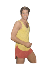 Load image into Gallery viewer, 1981 Vintage Sewing Pattern: Simplicity 9414